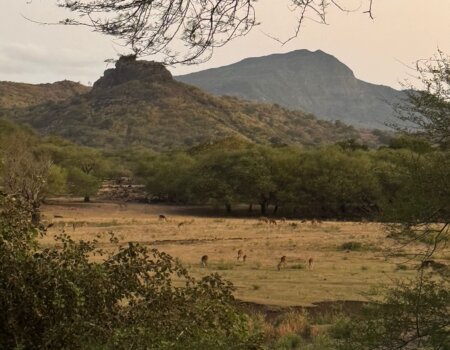 wta_2681_7856f4d4-cb01-4a20-a109-1c4475fd1f3b