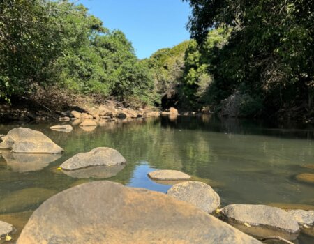 wta_2681_e01941e9-c31b-4aa1-a44e-f4eaf40cc0ef