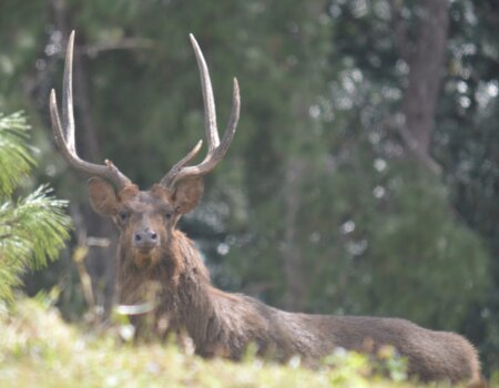 wta_2681_ee1d74a3-4e85-4c6e-9d9d-28893cfede82