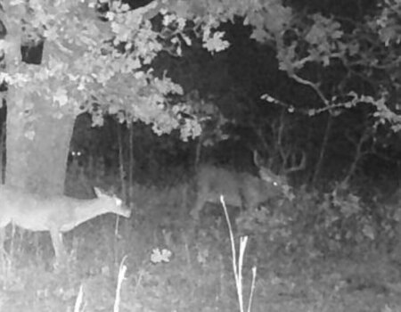 wta_2682_Screenshot 2025-11-06 at 10.57.39 AM