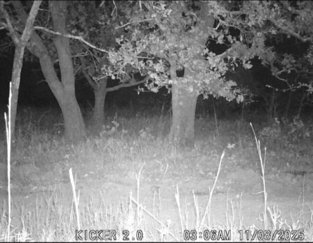 wta_2682_Screenshot 2025-11-11 at 1.43.25 PM