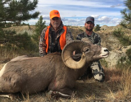 wta_2683_Brian Vineyard - Montana Rocky Mountain bighorn - breaks