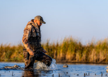 Chasing Waterfowl from North to South