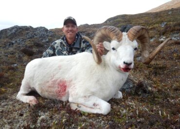Limited-Entry Alaska Dall Sheep: North America’s Pinnacle Hunt