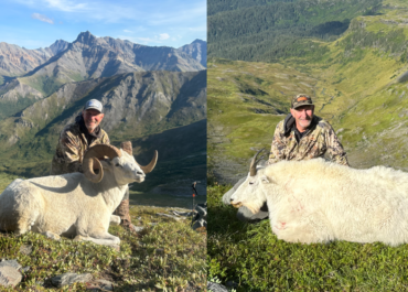 Against the Odds: Drawing Back-to-Back Sheep and Goat Tags