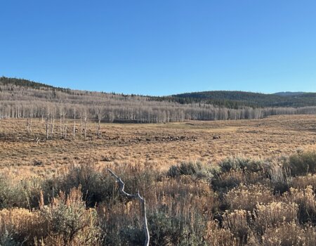 wta_2691_B9F6EB73-DD81-4E82-83D8-9D0EF3239E2A (1)