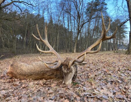 wta_2692_23864f04-e013-4174-ba22-496852775c6b