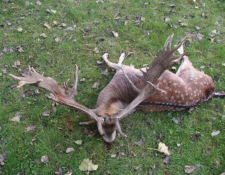 wta_2692_568b41d3-ca84-4b0d-8a02-b8359f1cb64a