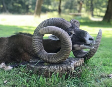 wta_2692_8ca811c0-f7be-4257-abc3-89eadc8ef210