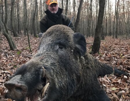 wta_2692_955af09f-8fcc-4676-9f37-40af8799a7f2