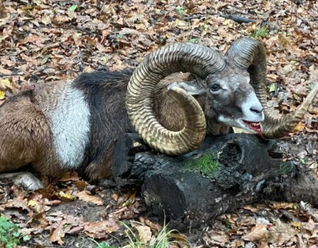 wta_2692_WhatsApp Image 2024-06-26 at 12.21.20 (8)