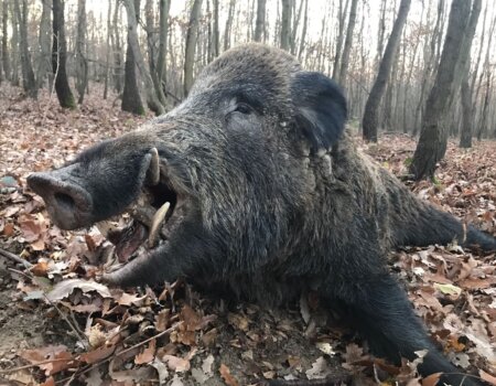 wta_2692_c665e575-c725-4be7-8b3f-61155d57a0ae