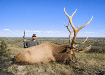 Drawing Top-Tier, Limited-Entry Elk Licenses with WTA TAGS