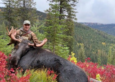 Second Year, Second Chance: My Idaho Shiras Moose Success