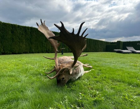 wta_2694_PHOTO-2025-12-19-14-36-27