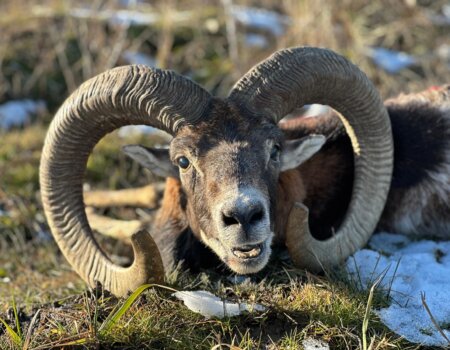 wta_2694_PHOTO-2025-12-19-14-40-23