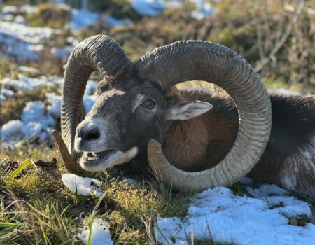 wta_2694_PHOTO-2025-12-19-14-40-28