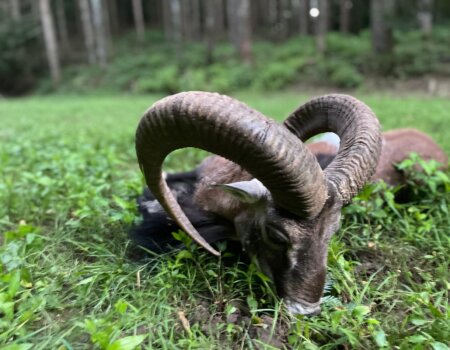 wta_2694_PHOTO-2025-12-19-15-00-25