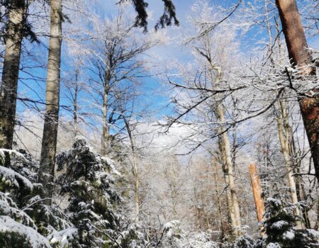 wta_2694_PHOTO-2025-12-19-15-06-04 2