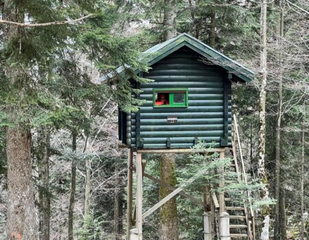 wta_2694_PHOTO-2025-12-19-15-06-04