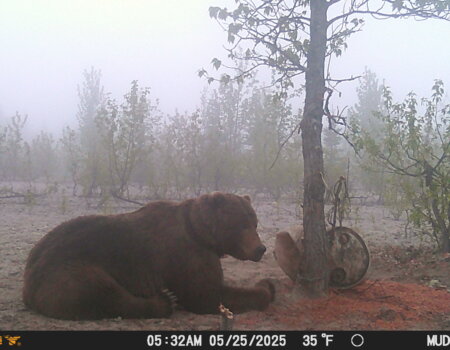 wta_2695_IMG_9955 (1)