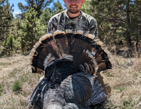 wta_2697_2618869614584168542