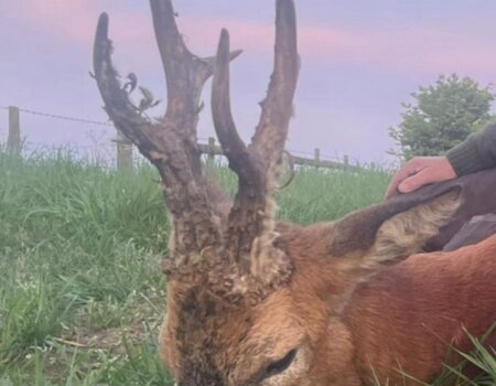 wta_2698_WhatsAhpp Image 2025-09-16 at 17.54.57