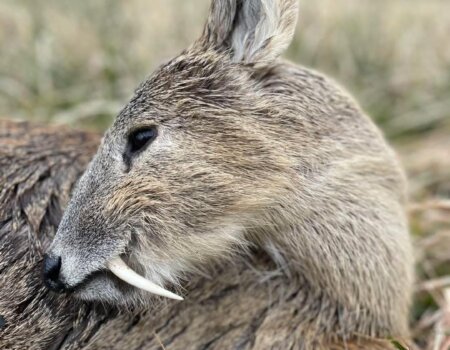 wta_2698_WhatsApp Ikkmage 2025-09-16 at 17.55.15