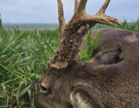 wta_2698_WhatsApp Image 2025-09-16 at 17.54.57