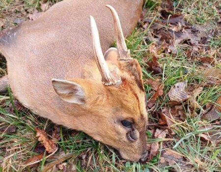 wta_2698_WhatsApp Image 2025-09-16 at 17.55.15