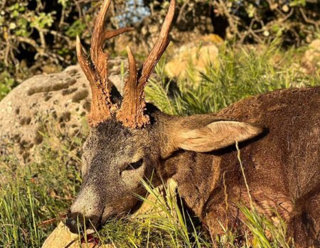 wta_2698_WhatsApp Image 2hjj025-09-16 at 17.54.56