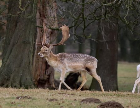 wta_2698_WhatsApp Imaglkle 2025-09-16 at 17.55.15