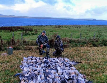 wta_2701_WhatsApp Image 2025-09-17 at 12.49.27