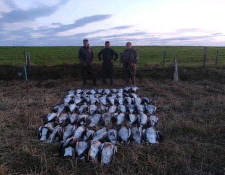 wta_2701_WhatsApp Image 2025-09-17 at 12.49.34