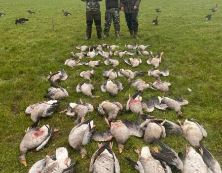 wta_2701_ghjghjghjghj