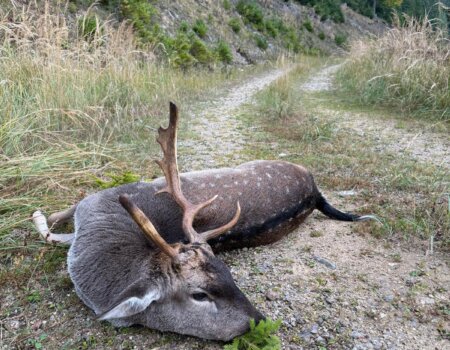 wta_2702_WhatsApp Image 2025-10-13 at 12.12.28