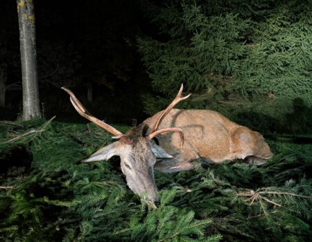 wta_2702_WhatsApp Image 2025-10-13 at 19.28.43