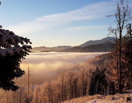 wta_2702_WhatsApp Image 2025-11-30 at 14.15.07