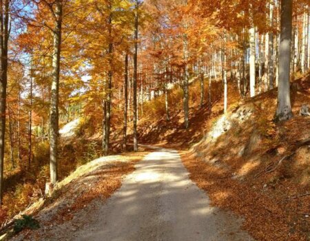 wta_2702_WhatsApp Image 2025-11-30 at 14.15.10 (2)