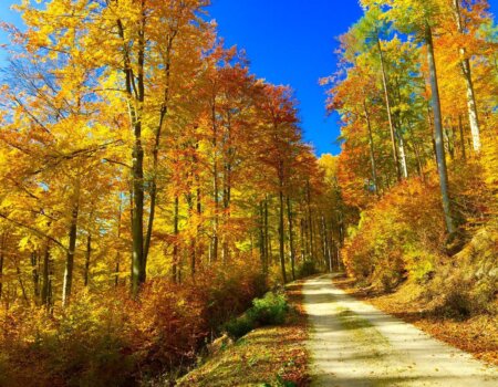 wta_2702_WhatsApp Image 2025-11-30 at 14.15.12