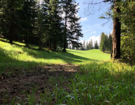 wta_2702_WhatsApp Image 2025-11-30 at 14.15.13