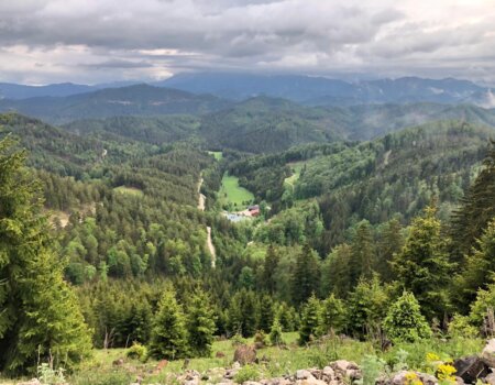 wta_2702_WhatsApp Image 2025-11-30 at 14.15.16