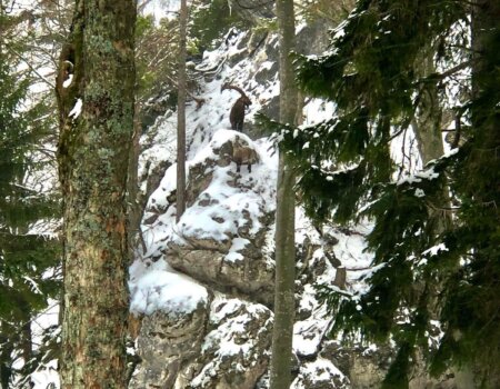 wta_2702_WhatsApp Image 2025-11-30 at 14.15.19