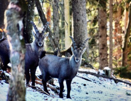 wta_2702_WhatsApp Image 2025-11-30 at 14.15.21