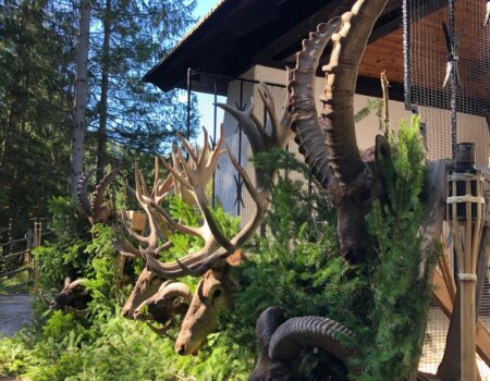 wta_2702_WhatsApp Image 2025-11-30 at 14.15.22