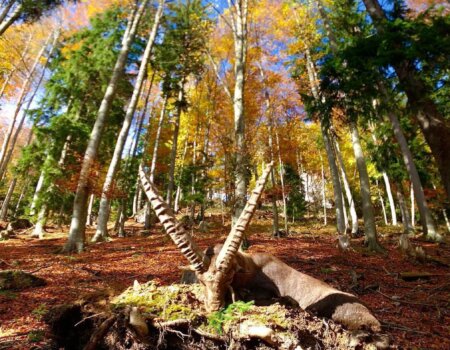 wta_2702_WhatsApp Image 2025-11-30 at 14.15.23