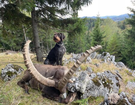 wta_2702_WhatsApp Image 2025-11-30 at 14.15.27