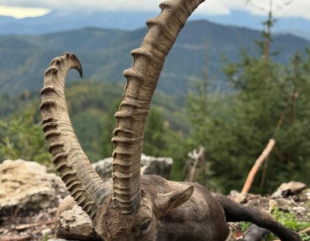 wta_2702_WhatsApp Image 2025-11-30 at 14.15.33