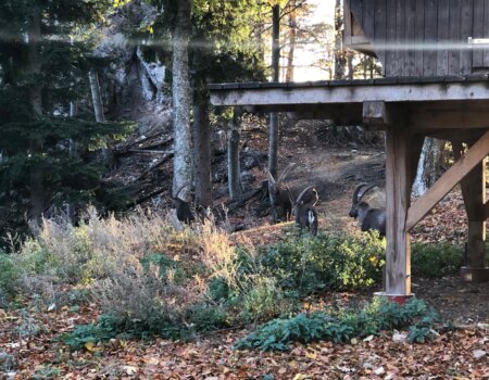 wta_2702_WhatsApp Image 2025-11-30 at 14.17.11 (2)