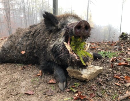 wta_2702_WhatsApp Image 2025-11-30 at 14.18.09 (1)